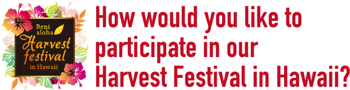 How would you like to participate in our Harvest Festival in Hawaii?