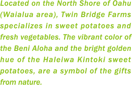 Located on the North Shore of Oahu (Waialua area), Twin Bridge Farms specializes in sweet potatoes and fresh vegetables. The vibrant color of the Beni Aloha and the bright golden hue of the Haleiwa Kintoki sweet potatoes, are a symbol of the gifts from nature.